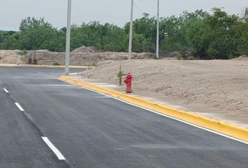 Lote de Terreno en  Cienega De Flores Centro, Ciénega De Flores