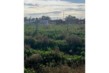 Terrenos en  General Cerri, Partido De Bahía Blanca