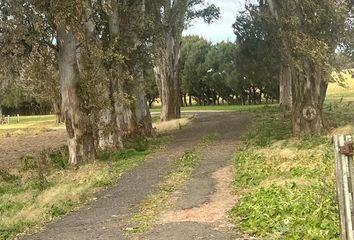 Terrenos en  San Pedro, Partido De San Pedro