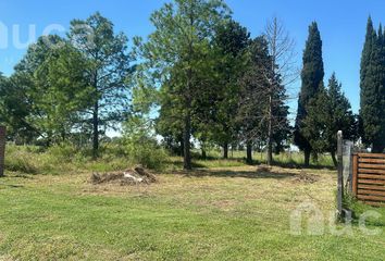 Terrenos en  Zelaya, Partido Del Pilar