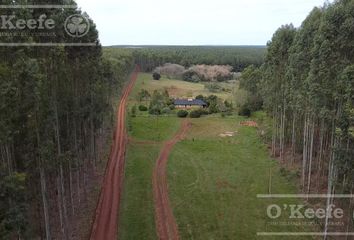 Terrenos en  General Alvear, Corrientes