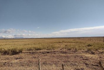 Terrenos en  Malargüe, Mendoza