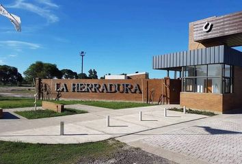 Terrenos en  Colonia Benitez, Chaco