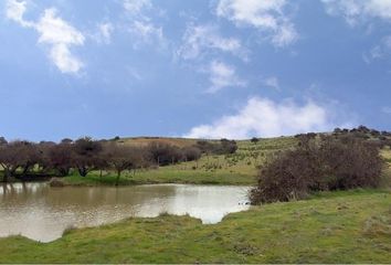 Parcela en  San Pedro, Melipilla