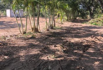 Lote de Terreno en  Bella Vista, Pueblo Viejo, Pueblo Viejo, Veracruz