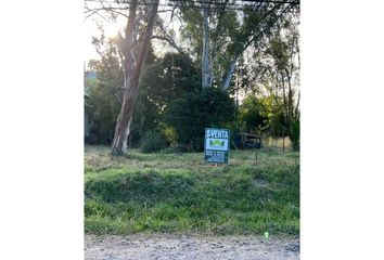 Locales en  San Miguel Del Monte, Partido De Monte