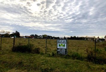 Terrenos en  San Miguel Del Monte, Partido De Monte