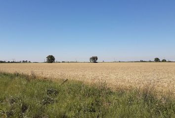 Terrenos en  Aldao, Santa Fe