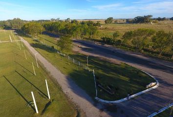 Terrenos en  Berisso, Partido De Berisso