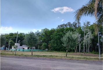 Terrenos en  Cañuelas, Partido De Cañuelas