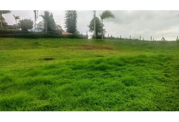 Lote de Terreno en  El Carmen De Viboral, Antioquia