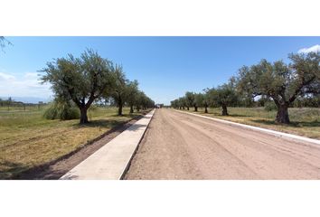 Terrenos en  Luján De Cuyo, Mendoza