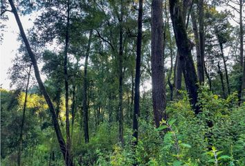 Lote de Terreno en  Avándaro, Valle De Bravo