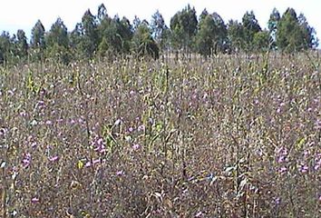 Lote de Terreno en  Joya Del Tejocote, Nicolás Romero