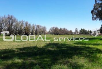 Lote de Terreno en  Santa María Caliacac, Teoloyucán