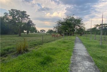 Lote de Terreno en  Puerto Tejada, Cauca