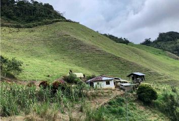 Villa-Quinta en  Versalles, Valle Del Cauca