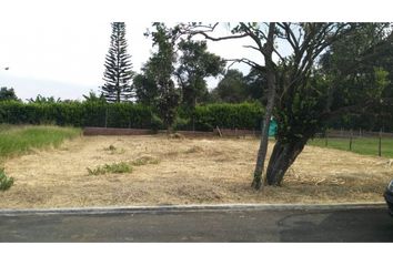 Lote de Terreno en  Río Claro, Jamundí