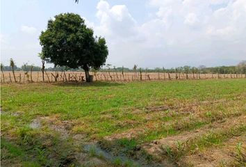 Lote de Terreno en  Rozo, Palmira