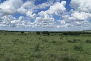 Lote de Terreno en  Montemorelos Centro, Montemorelos