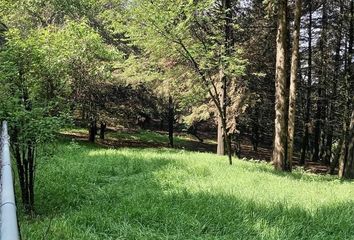 Lote de Terreno en  Juárez (los Chirinos), Ocoyoacac