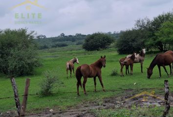 Lote de Terreno en  González, Tamaulipas