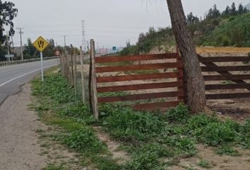 Parcela en  La Serena, Elqui