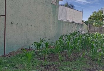 Lote de Terreno en  Calle Ezequiel Padilla N 701-701, Burgos Bugambilias, Tres De Mayo, Emiliano Zapata, Morelos, 62584, Mex