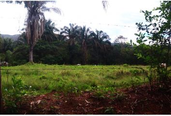 Lote de Terreno en  Centro, Girardot