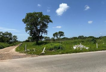 Lote de Terreno en  Chicxulub Pueblo, Yucatán