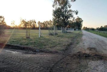 Terrenos en  Copetonas, Partido De Tres Arroyos