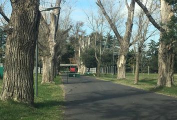 Terrenos en  El Campo - Fincas Exclusivas Cardales, Partido De Campana