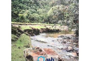 Lote de Terreno en  El Carmen De Viboral, Antioquia