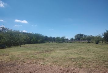 Terrenos en  Alejandro Petión, Partido De Cañuelas