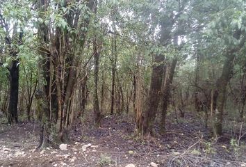 Terrenos en  Salsipuedes, Córdoba