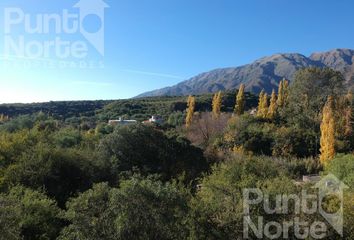 Terrenos en  Merlo, San Luis