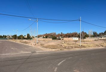 Terrenos en  Luján De Cuyo, Mendoza