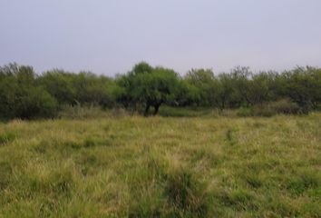 Terrenos en  San Salvador, Entre Ríos