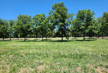 Terrenos en  Estancia Villa María, Partido De Ezeiza