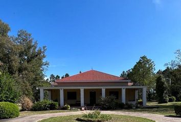 Terrenos en  San Pedro, Partido De San Pedro