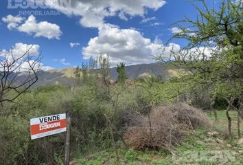 Terrenos en  Merlo, San Luis