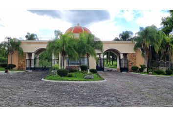 Lote de Terreno en  Camino Real, Sahuayo De Morelos