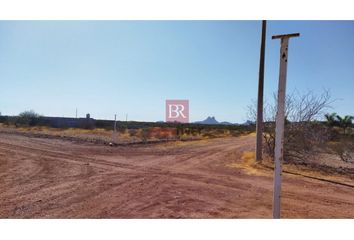 Lote de Terreno en  Rancho O Rancheria San Carlos Nuevo Guaymas, Guaymas, Sonora