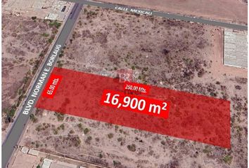 Lote de Terreno en  Puente Real, Cajeme