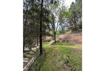 Lote de Terreno en  San Jose Mayorazgo, Municipio De Puebla