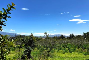 Terreno Comercial en  Puembo, Quito