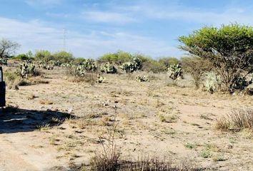 Lote de Terreno en  El Mezquital, San Luis Potosí