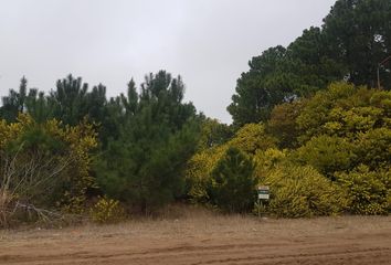 Terrenos en  Otro, Pinamar