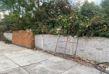 Lote de Terreno en  Calle Independencia, Santiago Centro, Tláhuac, Ciudad De México, 13300, Mex