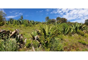 Lote de Terreno en  Huasca De Ocampo, Hidalgo